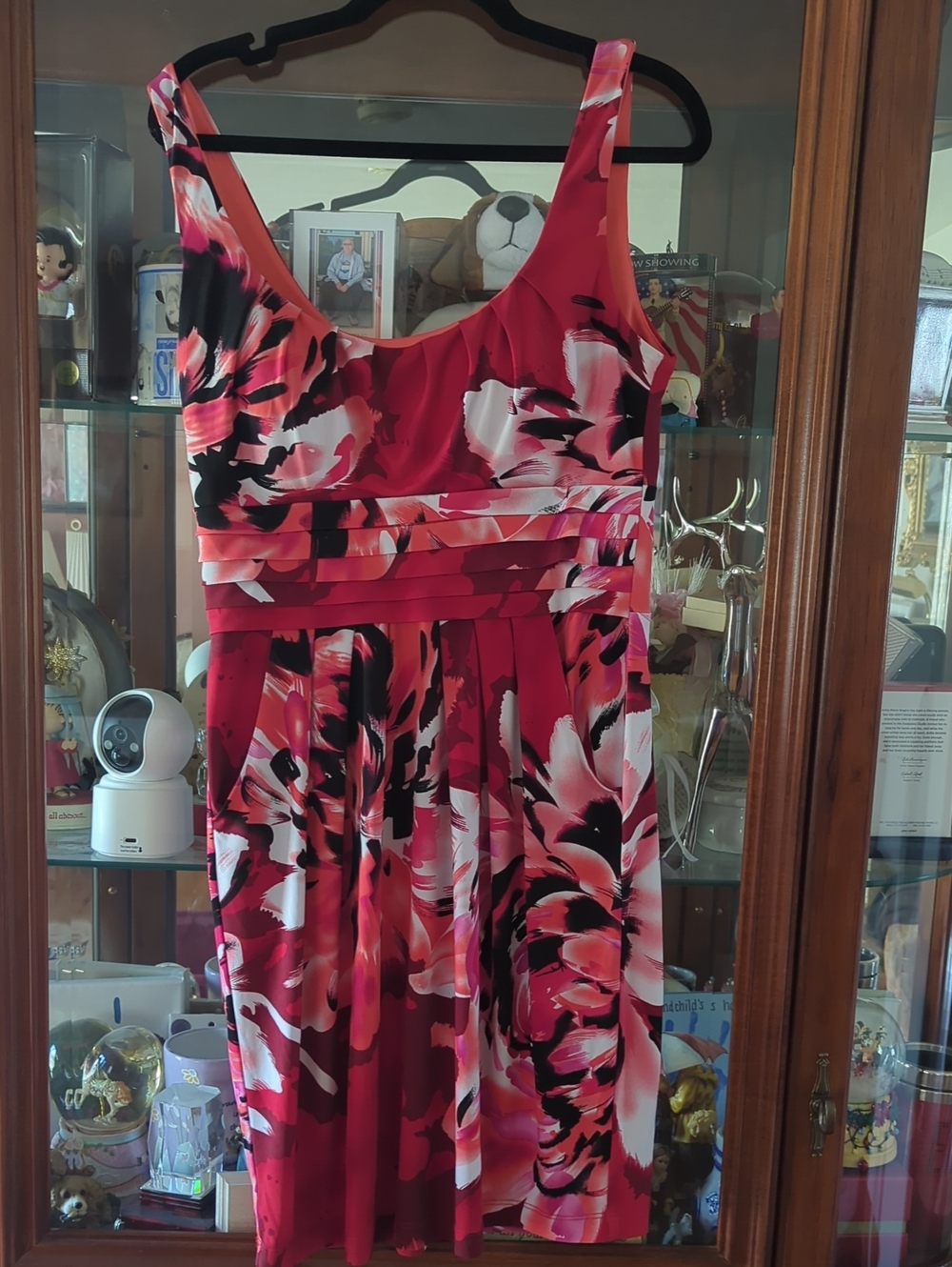 Bisou Bisou Red and Pink Floral Sleeveless Fit-and-Flare Dress